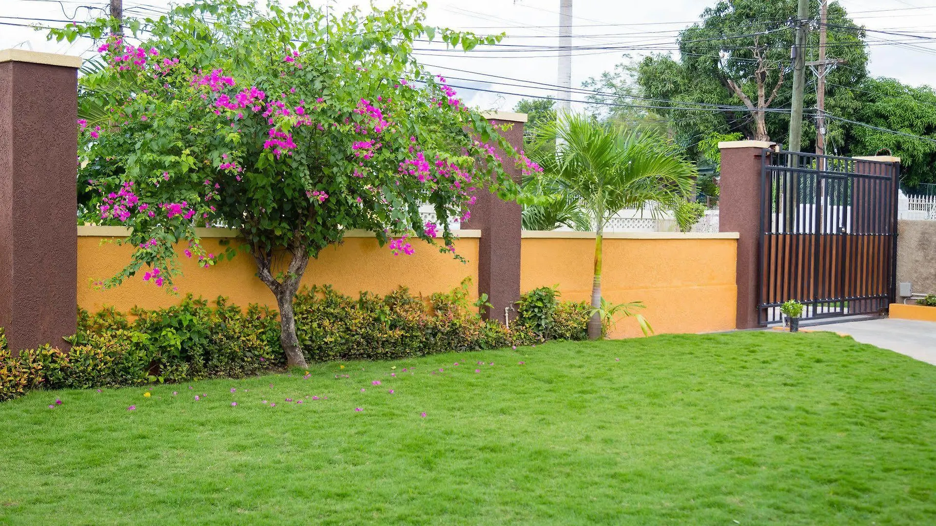 Centrally Located Guest Apartments Kingston