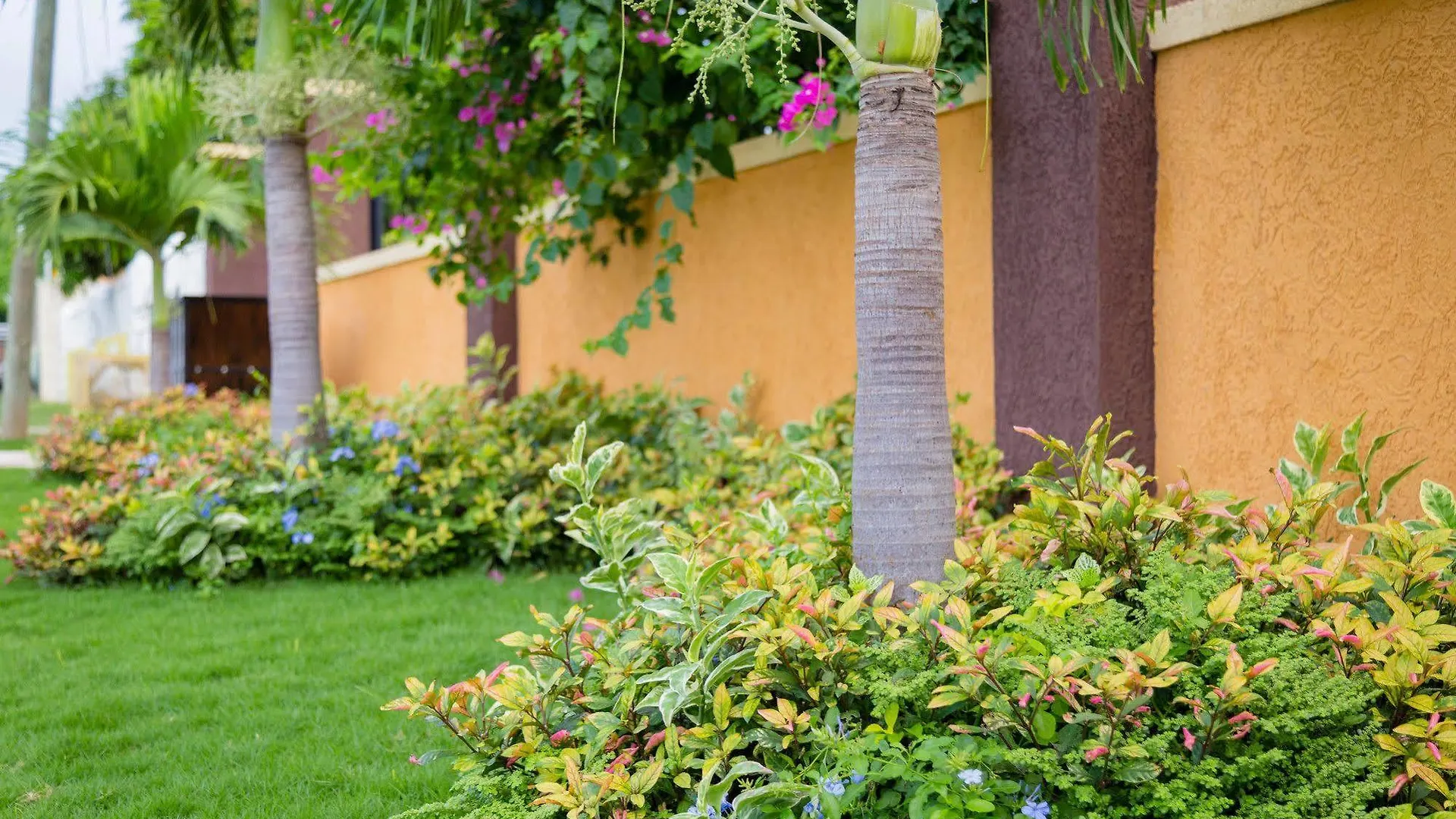 Centrally Located Guest Apartments Kingston Hotel